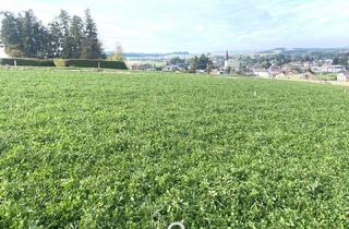 Grundstück zu kaufen in Elisabetha 39, 4906 Eberschwang, Baugrundstück 177/22 mit 729m² in Eberschwang