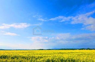 Grundstück zu kaufen in Parndorf, Neudorf, 2424 Zurndorf, Landwirtschaftliche Nutzfläche in Ideallage