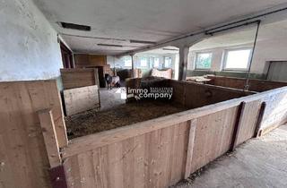 Gewerbeimmobilie mieten in 5120 Haigermoos, Das Glück der Erde liegt am Rücken der Pferde I Selbstversorger-Stall nahe Oberndorf - ca. 8.000qm I +5 Boxen I Koppel I 500 EUR Miete!