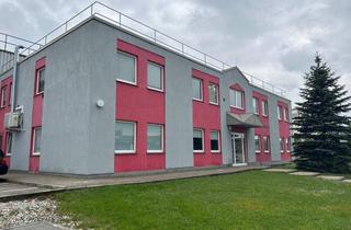 Büro zu mieten in 7053 Hornstein, Funktionelle Betriebsliegenschaft in Hornstein