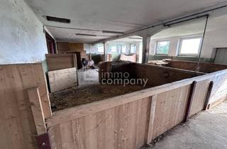 Lager mieten in Burghausen, 5120 Haigermoos, Das Glück der Erde liegt am Rücken der Pferde I Selbstversorger-Stall nahe Oberndorf - ca. 8.000qm I +5 Boxen I Koppel I 500 EUR Miete!