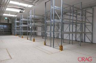 Büro zu mieten in 7100 Neusiedl am See, Hallenfläche mit angrenzendem Büro in Neusiedl am See, 7100