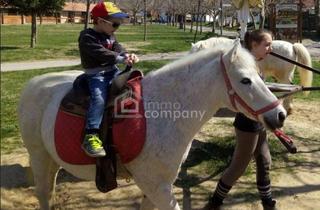 Grundstück zu kaufen in 7321 Unterfrauenhaid, Traumhafter Grund mit Teilwidmung Reitplatz/Reitanlage - 7250 m² um nur 80.000 €!