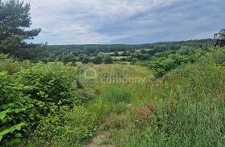 Grundstück zu kaufen in 7321 Lackendorf, Rarität - Grund mit Teilwidmung Reitplatz/Reitanlage - 10.360 m² um nur 140.000 €!