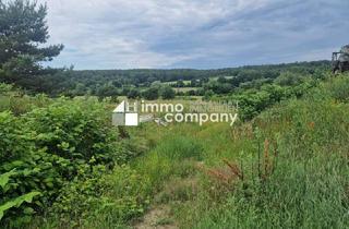 Grundstück zu kaufen in 7321 Lackendorf, Traumhaftes Freizeitgrundstück in Unterfrauenhaid - 7250 m² für 80.000 €!