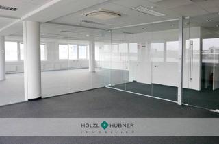Büro zu mieten in 5071 Wals, Offen und transparent