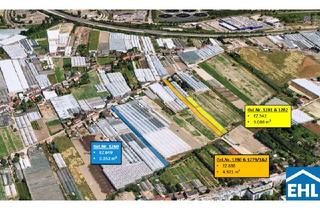 Grundstück zu kaufen in Hörtengasse, 1110 Wien, Grundstücke einzeln oder als Paket in 1110 Kaiserebersdorf