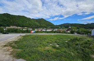 Grundstück zu kaufen in 4452 Ternberg, Bauträger aufgepasst - TOP Baugrundstück im Zentrum von Ternberg - großvolumiger Wohnbau möglich
