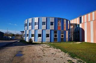 Büro zu mieten in 2011 Sierndorf, Büro