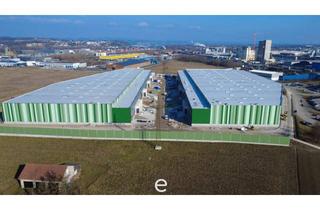 Büro zu mieten in 4470 Enns, NEUBAU - Produktions / Lagerhalle mit Büroflächen in Enns/Ennshafen zu vermieten – individuell und zukunftsorientiert