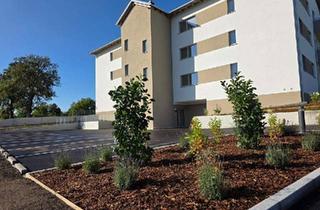 Wohnung kaufen in 4680 Haag am Hausruck, landLEBEN - Modern Wohnen am Hausruckwald Haus 2 Top 03