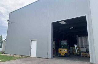 Gewerbeimmobilie mieten in 2120 Wolkersdorf im Weinviertel, Lagerfläche Mieten im Industriezentrum Wolkersdorf
