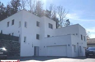 Villen zu kaufen in 8240 Friedberg, Moderne Familienvilla in Ruhelage