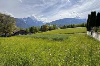 Grundstück zu kaufen in 9905 Obergaimberg, Sonniges Grundstück bei Lienz - Gemeinde Gaimberg zu verkaufen!