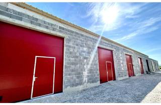 Gewerbeimmobilie kaufen in 2601 Sollenau, Lukratives Investment oder doch für den Eigengebrauch ? Hier finden Sie genau das Richtige!