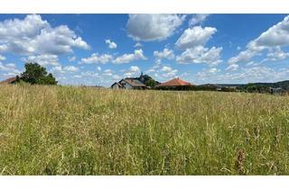 Grundstück zu kaufen in 7540 Güssing, Sonniger Baugrund mit Burgblick