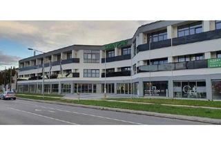 Wohnung kaufen in Pottendorferstraße 62, 2700 Wiener Neustadt, 2-Zimmer Dachgeschoss Wohnung mit großer Terrasse in Wiener Neustadt
