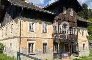 Immobilie kaufen in 9772 Dellach, Grünflächen mit Altbestand