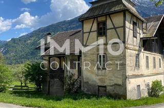 Immobilie kaufen in 9772 Dellach, Grünflächen mit Altbestand