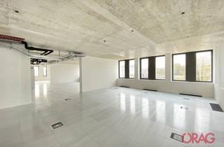 Büro zu mieten in 4020 Linz, Einzigartig – Erstbezug-Büros und Geschäfte im Projekt Hafenportal in 4020 Linz - zur Miete