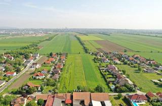 Grundstück zu kaufen in 2332 Hennersdorf, Top Lage! Baugrundstück angrenzend an Wien, Einfamilienhaus oder Doppelhaus