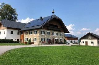 Bauernhäuser zu kaufen in 5302 Henndorf am Wallersee, Henndorf: Einzigartige Seeliegenschaft am Wallersee!