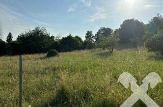 Grundstück zu kaufen in 8230 Hartberg, Traumhafter Baugrund am Fuße des Hartberger Hausberges Ring mit Aussicht!