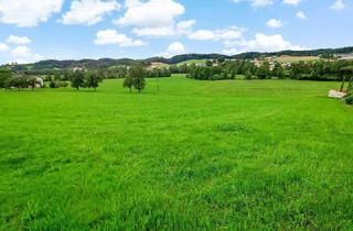 Grundstück zu kaufen in 5251 Höhnhart, Naturnahes Wohnbau-Grundstück zwischen Mattighofen und Ried. - Ihr Platz für ein Traumhaus.