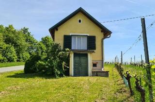 Gewerbeimmobilie kaufen in 7474 Eisenberg an der Pinka, Entzückendes Kellerstöckl mit gepflegtem Weingarten in idyllischer Lage
