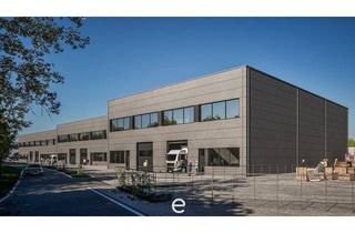 Gewerbeimmobilie mieten in 4863 Seewalchen am Attersee, NEUBAU - Produktions / Lagerhalle mit zwei Baukörper in Seewalchen