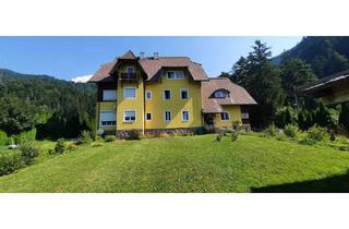 Gewerbeimmobilie kaufen in 9781 Oberdrauburg, Schöne Villa - B&B für Naturverbundene