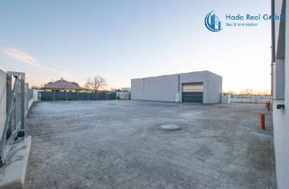 Immobilie mieten in Prinz-Eugen-Straße, 2442 Unterwaltersdorf, Wieder verfügbar: Vielseitig Nutzbare Lagerhalle in Ebreichsdorf (Unterwaltersdorf - 2442)
