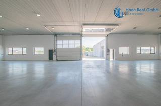 Immobilie mieten in Prinz-Eugen-Straße, 2442 Unterwaltersdorf, Wieder verfügbar: Geräumige und flexible Lagerhalle mit hoher Nutzfläche in Ebreichsdorf (Unterwaltersdorf - 2442)