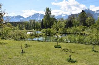 Agrarfläche kaufen in 9072 Ludmannsdorf, "Oh Du Mei Rosental........"