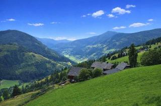 Haus kaufen in 9565 Ebene Reichenau, Gepflegte Natur - hier schöpfe ich neue Kraft in den Bergen