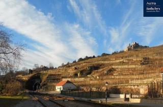 Wohnung kaufen in 3601 Dürnstein, Gartenwohnung mit zauberhaftem Blick auf die Burgruine Dürnstein