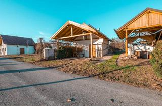Immobilie kaufen in 2064 Wulzeshofen, ZWEI WEINKELLER MIT PRESSHAUS, PERGOLA UND 503 m² GRUNDSTÜCK!