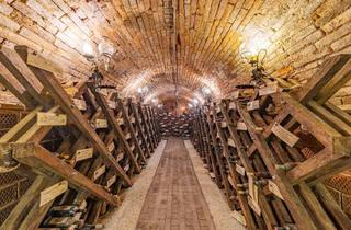 Immobilie kaufen in 2020 Hollabrunn, DIE LOCATION FÜR FIRMENEVENTS & PRIVATE FEIERN IN EINEM BESONDEREN AMBIENTE! INKLUSIVE WOHNBEREICH!