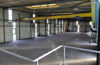 Immobilie mieten in 2011 Sierndorf, Halle