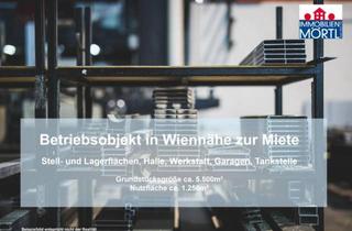 Immobilie mieten in 2120 Wolkersdorf im Weinviertel, Betriebsobjekt in Wiennähe