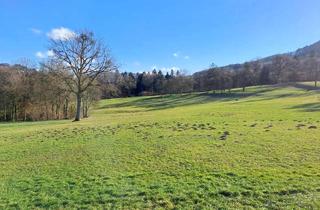 Grundstück zu kaufen in 3251 Purgstall, 10 ha Wald- und Wiesenflächen in Feichsen