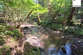 Grundstück zu kaufen in 5310 Mondsee, Rarität! Einzigartiges Grundstück in der Mondseelandregion