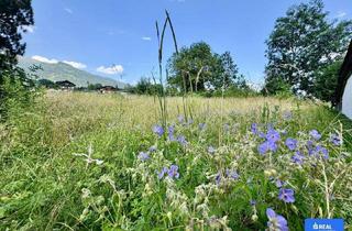 Grundstück zu kaufen in 9903 Oberlienz, Erfüllen Sie sich Ihren Wohntraum