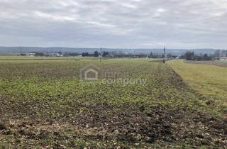 Grundstück zu kaufen in 8380 Rax, Schöner Baugrund unweit von Jennersdorf