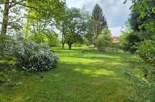 Grundstück zu kaufen in 3062 Kirchstetten, Liegenschaft mit Grossem Grund und 2 Häusern mit Wohnrecht