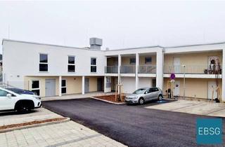 Wohnung mieten in Puchberger Straße WE 5, 2630 Ternitz, Kleinwohnung mit Balkon & PKW-Stellplatz