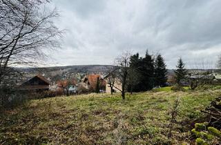 Grundstück zu kaufen in 3032 Eichgraben, Grundstück in Grünruhelage am Ende einer Sackgasse angrenzend an Wälder und Wiesen