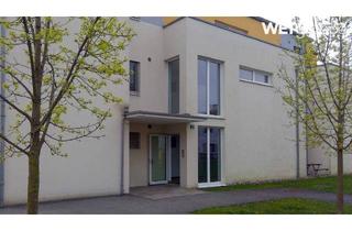 Wohnung mieten in Höhenstr. 25/H3/5, 3373 Kemmelbach, Kemmelbach Top 3/5. Befristete 3 Zimmer Wohnung | gefördert | großer Balkon.