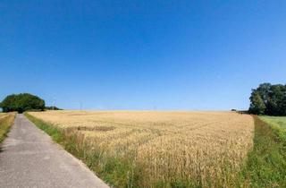 Gewerbeimmobilie kaufen in 4880 Walsberg, Landwirtschaftliche Fläche - Acker