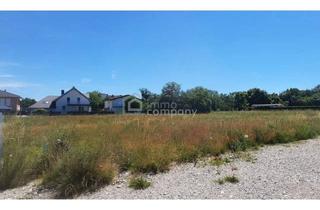 Grundstück zu kaufen in 2604 Theresienfeld, Großer Baugrund in zentraler Lage